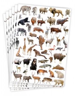 Obrázek z Samolepky zoo 300ks 